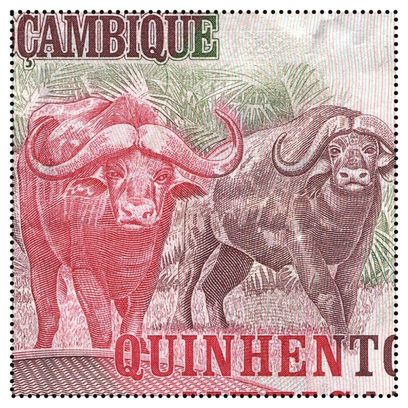 Mozambique