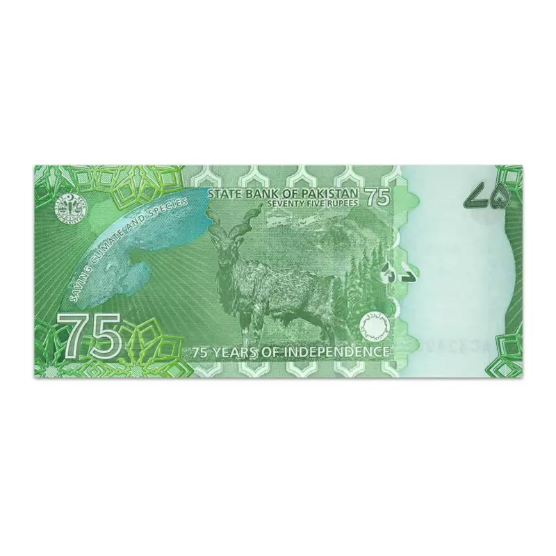 PAKISTAN 75 RUPEES 2022 Commemorative Issue