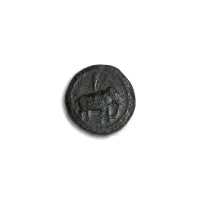 Tipu Sultan Half Paisa Copper Coin AH 1224