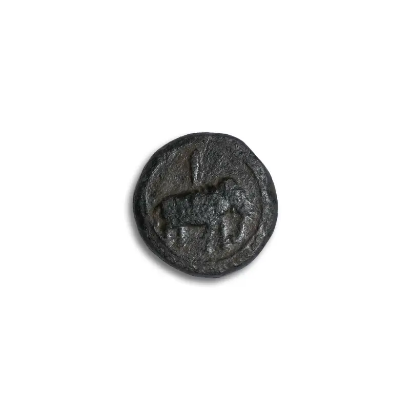 Tipu Sultan Half Paisa Copper Coin AH 1224