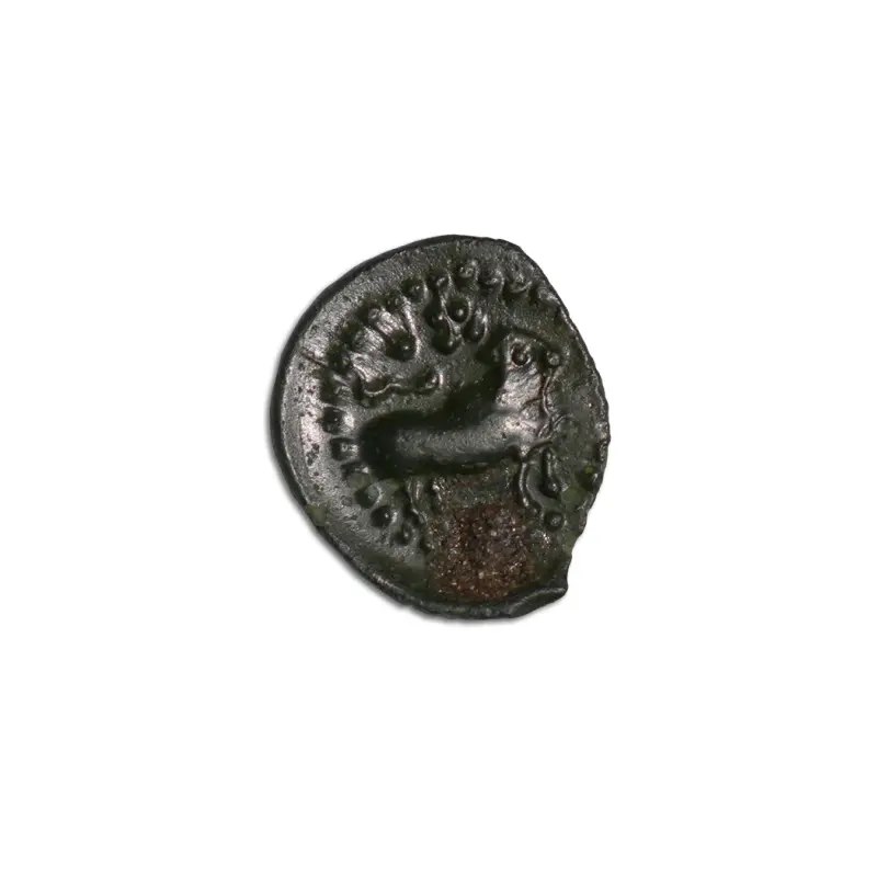 Pallava Dynasty Kanchi Potin Coin 4-6 Century CE